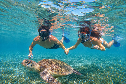 Marsa Alam: Diving & Snorkel Trips on the Boat with Lunch