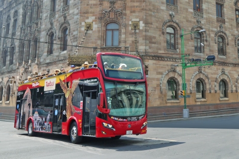 Mexico-Stad: hop on, hop off-stadstour per TuribusCoyoacan (Zuid) Circuit