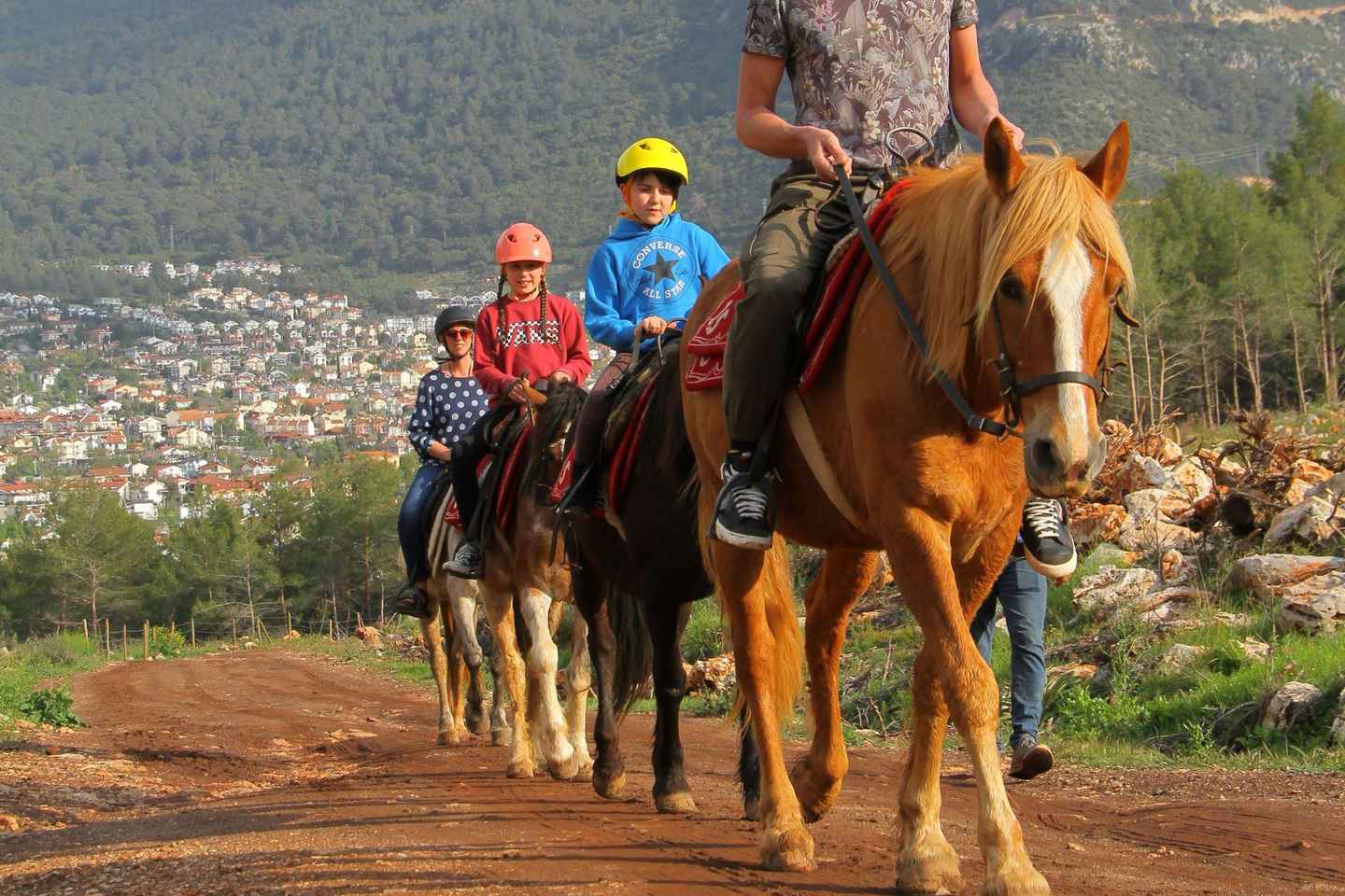 馬と行くサファリの冒険