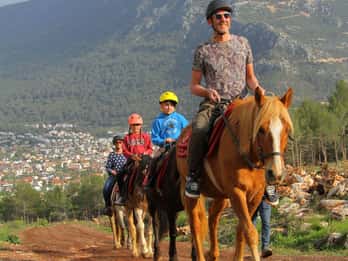 Horse Safari