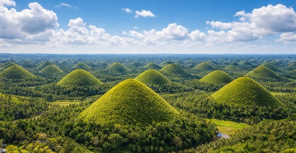 From Cebu City: Bohol Countryside Tour & River Cruise Lunch