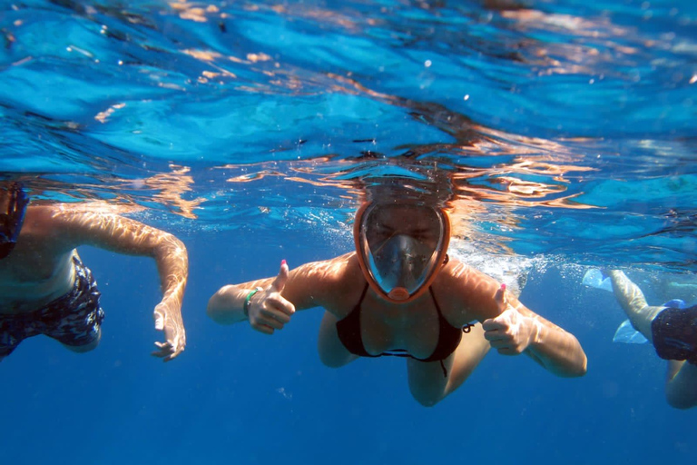 Sharm El Sheikh: Crociera a Ras Mohamed con snorkeling e pranzo