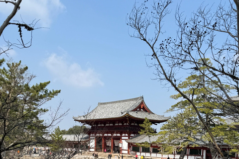 Visite privée de Kyoto avec guide anglophone et véhicule