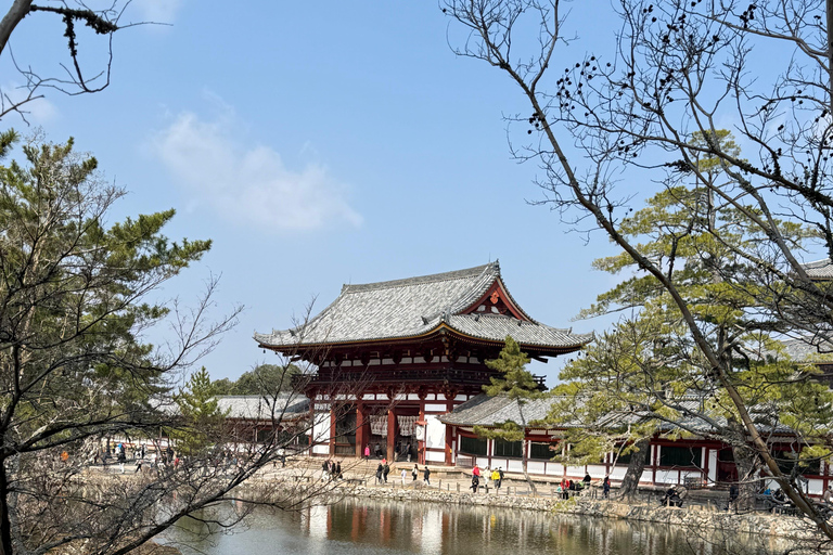 Visite privée de Kyoto avec guide anglophone et véhicule