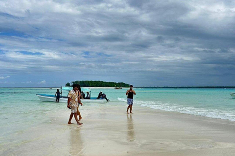 Île de Mnemba : Observation des Dauphins en Hors-bord et SnorkelingÎle de Mnemba : observation des dauphins en hors-bord et plongée en apnée
