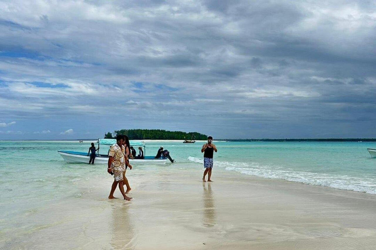 Île de Mnemba : Observation des Dauphins en Hors-bord et SnorkelingÎle de Mnemba : observation des dauphins en hors-bord et plongée en apnée