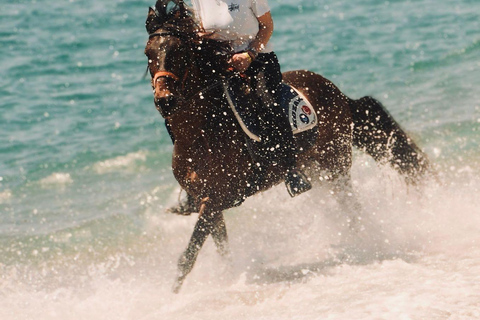 Side: Horseback Riding Adventure with Hotel Pickup