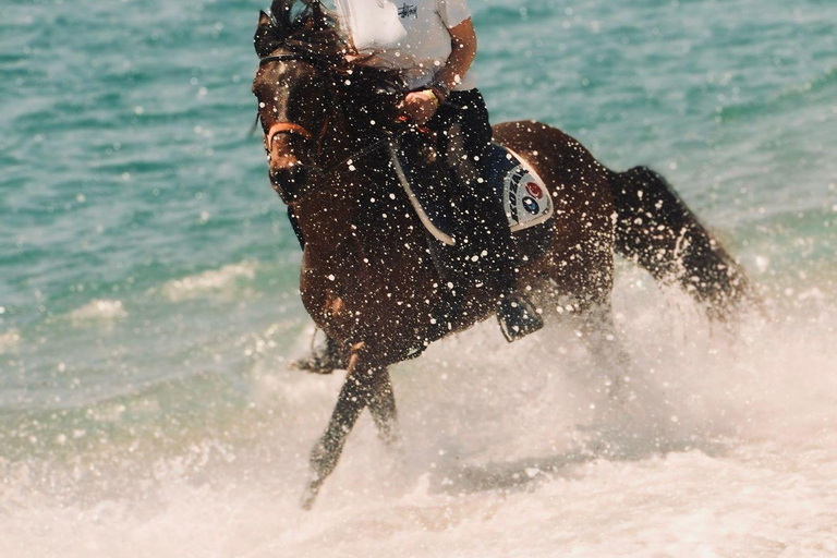 Side: Horseback Riding Adventure with Hotel Pickup