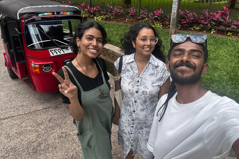 Kandy: Guided City Tour/Temple of the Tooth & Tea Factory