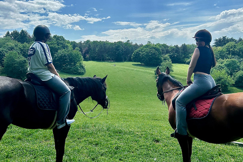 Belgrade: Epic Forest Horseback Riding Tour