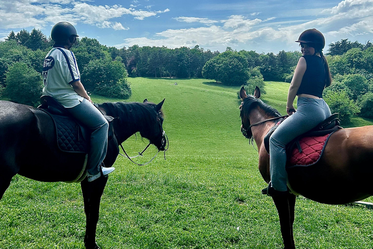Belgrade: Epic Forest Horseback Riding Tour