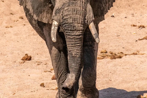 Vanuit Zanzibar :2 nachten 1 dag MIKUMI NATIONAL PARK ( 3 DAGEN )