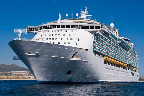 Casablanca: Tour & Guided Mosque Ticket Cruise Excursion