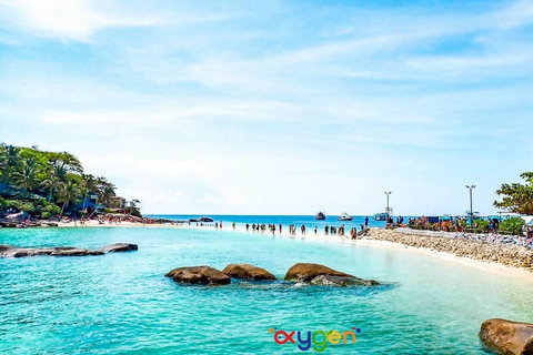Koh Tao in a Day: Turtles, Hidden Reefs & Nangyuan Viewpoint