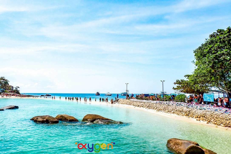 Koh Tao in a Day: Turtles, Hidden Reefs & Nangyuan Viewpoint