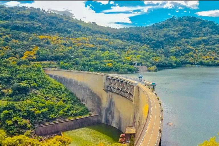 Scenic Highland Journey: Private Transfer from Kandy to Ella