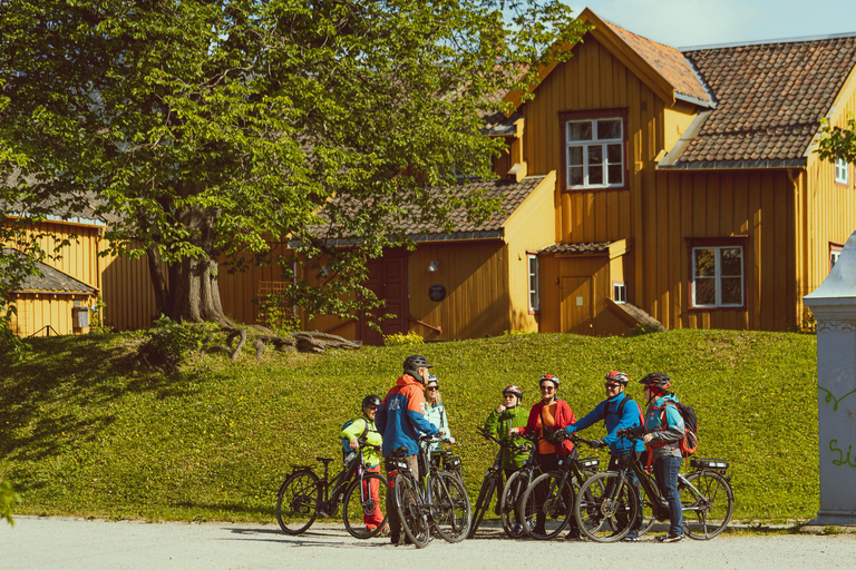 Tromsø: Explore Tromso by E-bike