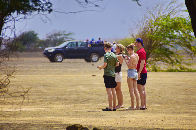 Sal Island: Small-Group Tour with Shark Bay & Blue Eye