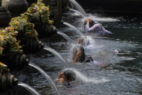 Ubud Tour: Explore os melhores lugares da área de Ubud.