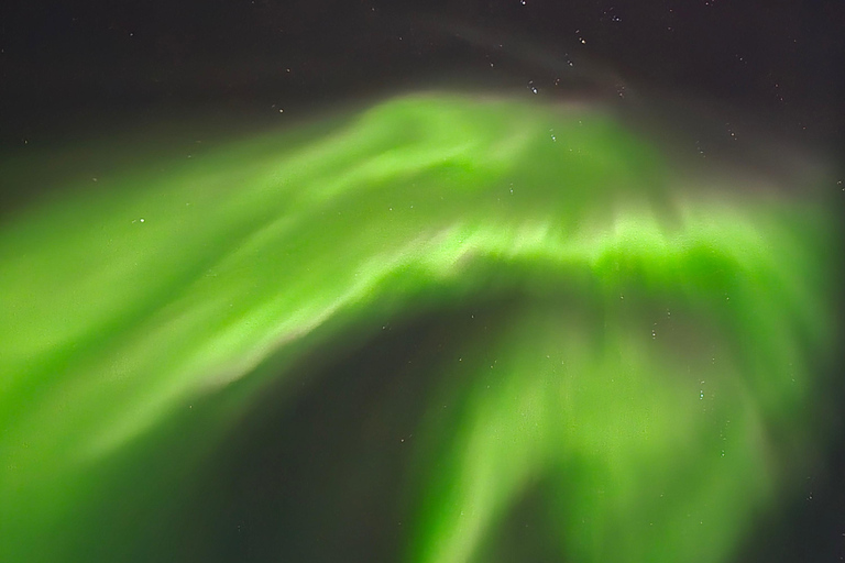 Abisko National Park: A snowshoe journey into the Arctic