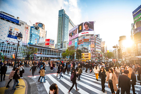 Best of Tokyo: Guided Full Day City Tour with Lunch