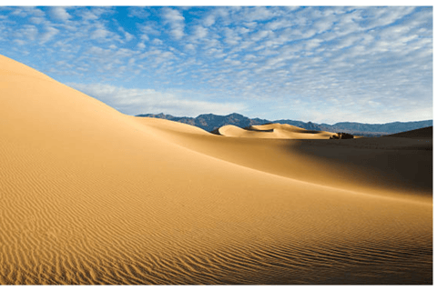 Doha: Safari nel deserto con giro in cammello e sand boarding