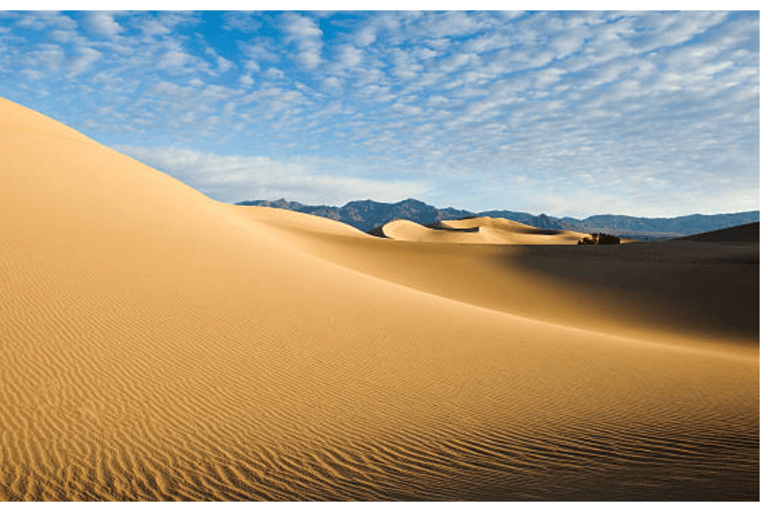 Doha: Safari por el desierto con paseo en camello y Sandboarding