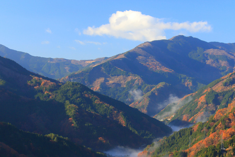 Tokyo: Nikko National Park Private Tour Hotel Pickup & Drop