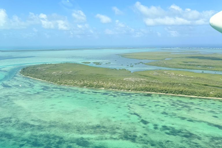 Marathon, Florida Keys: Luxury Airplane Tour for group of 4.