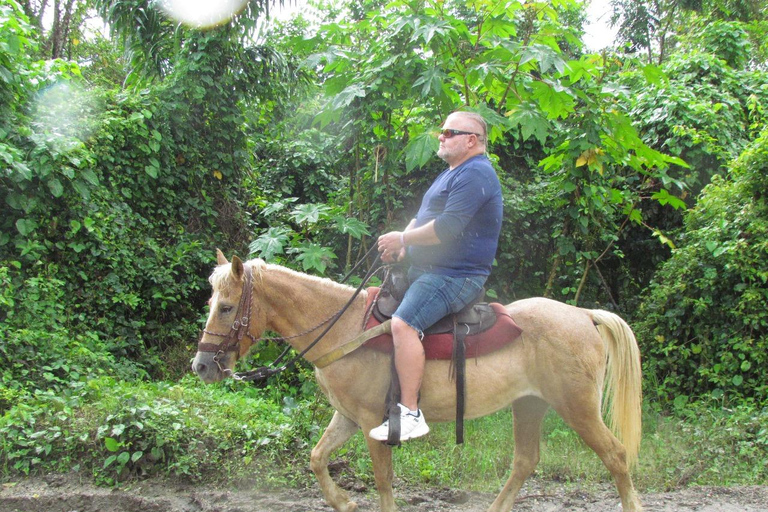 Puerto Plata: Horseback Tour of the Beach and Local Community