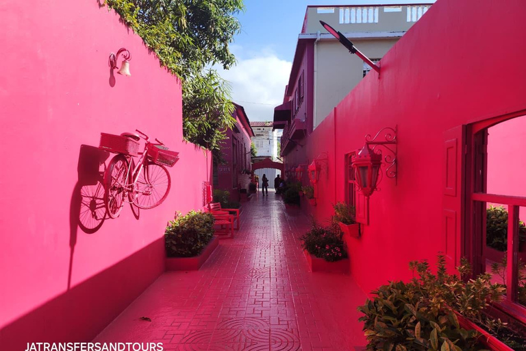 Puerto Plata: Panoramic Tours, Butterfly Garden, Countryside Views