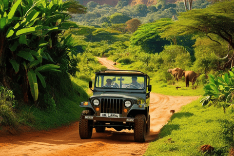 Safari no Habarana Eco Park com jipe e taxa de entrada