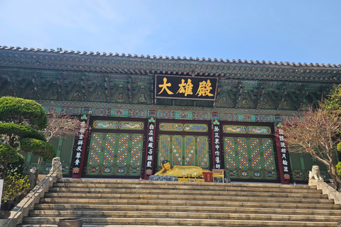 Busan Bites Food Tour with 10+ Tastings