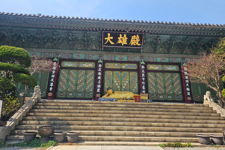 Busan Bites Food Tour with 10+ Tastings