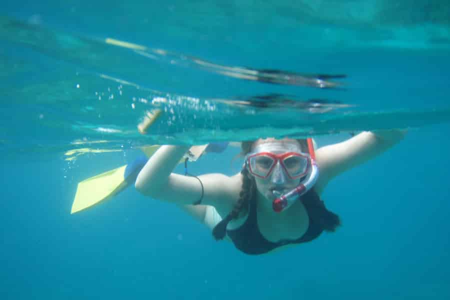 West Palm Beach: Schnorchel-Katamaranfahrt mit Guide und Ausrüstung. Foto: GetYourGuide West Palm Beach: Schnorchel-Katamaranfahrt mit Guide und Ausrüstung. Foto: GetYourGuide