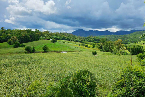 Pai: Jungle Ziplining Adventure with 16 Platforms Shared Tour with Hotel Transfers