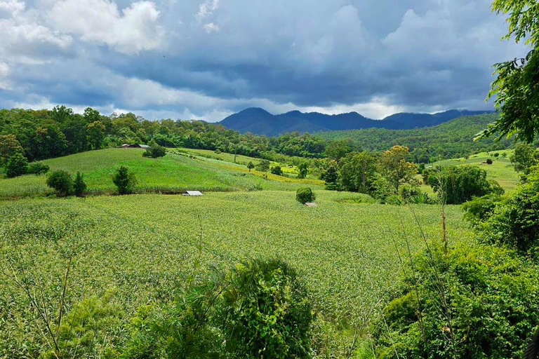 Pai: Aventura de tirolina en la selva con 16 plataformasRecorrido compartido con traslados al hotel