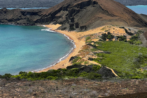 Bartolomé Island: Premium Yacht Experience with Hike and Snorkel