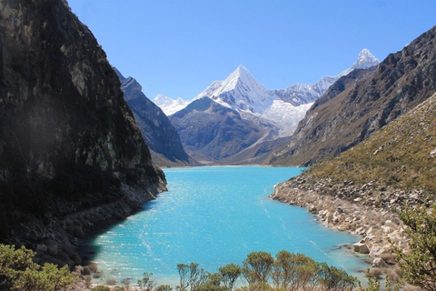 Ancash: Trekking to Paron Lagoon with entrance | FULL DAY |