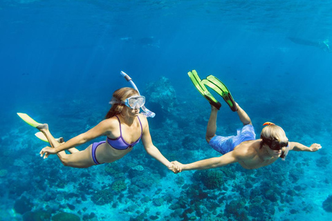 Marsa Alam: Dolphin House Adventure at Shaab Samadai Reef