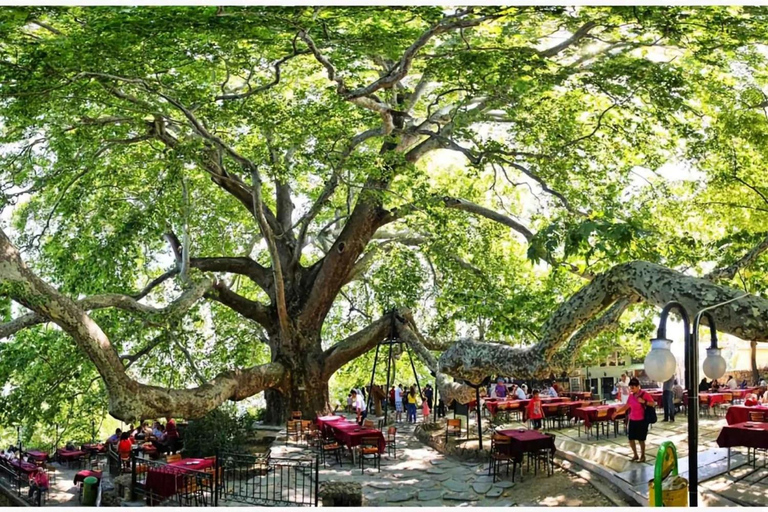 Istanbul: Uludag Ski & Snowboard Tour with Bursa Visit Private Bursa & Uludağ Tour – Vehicle & Driver Service