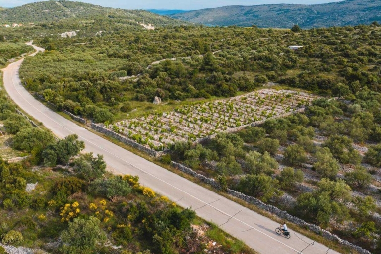 Traslado privado de ida desde Dubrovnik o el aeropuerto a Tivat
