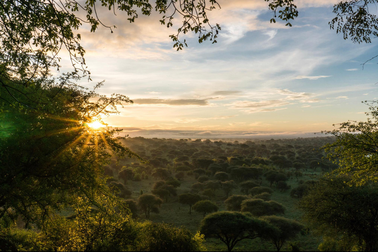 Safári de dois dias em Tarangire e na cratera de NgorongoroGrupo privado com acomodação em acampamento de luxo médio