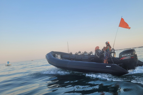 Golfe-Juan: Îles de Lérins/Cap d&#039;Antibes: Speedbåtsutflykt 1,5 timmeGolfe-Juan: Lérinsöarna/Cap d&#039;Antibes: Speedboat-utflykt 1,5 timme