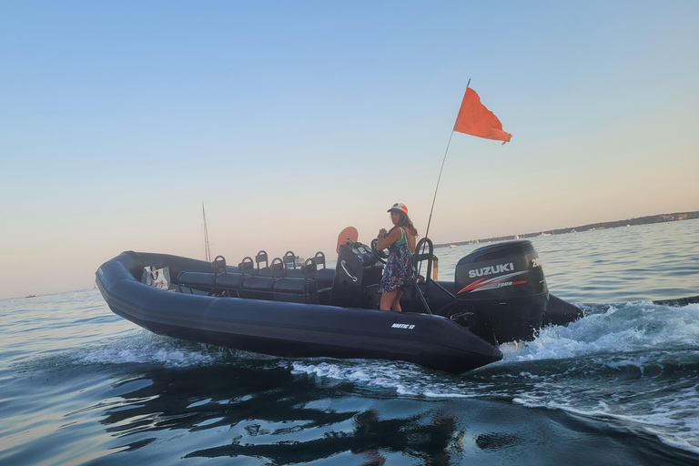 Golfe-Juan: Îles de Lérins/Cap d&#039;Antibes: Speedbåtsutflykt 1,5 timmeGolfe-Juan: Lérinsöarna/Cap d&#039;Antibes: Speedboat-utflykt 1,5 timme