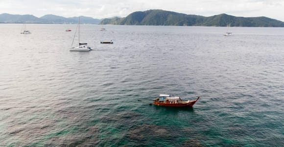 Phuket: Coral Island Luxury Long Tail Boat Half-Day Tour