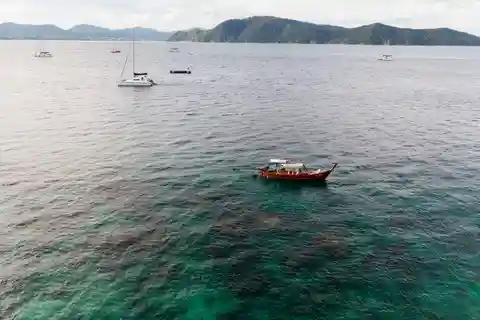 Phuket: Coral Island Luxury Long Tail Boat Halvdagstur