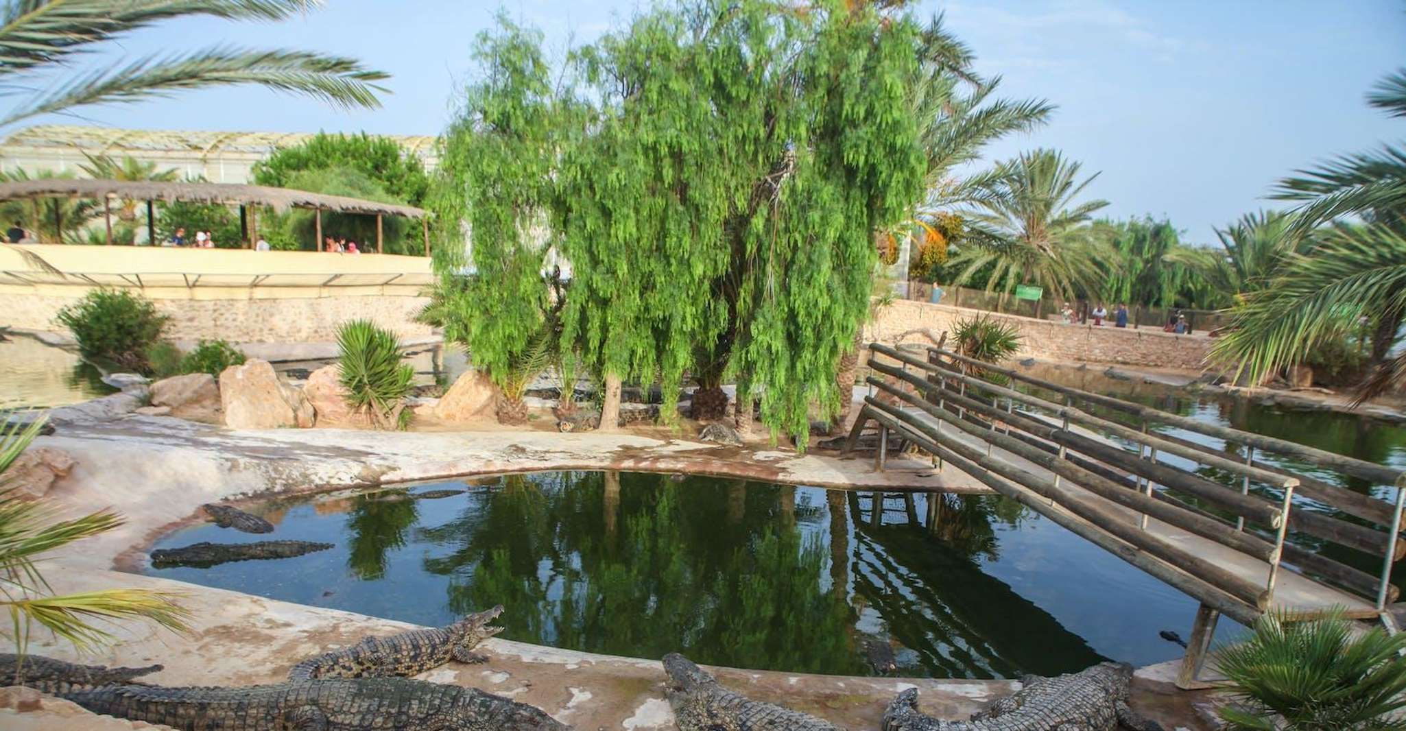 Visite d'une demi-journée sur l'île de Djerba avec Crocodile Encounter - Hizvo
