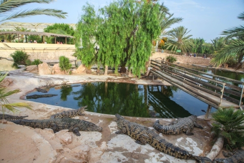 Halbtagestour auf der Insel Djerba mit KrokodilbegegnungBesuch der Insel Djerba mit der Krokodilfarm