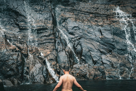 Colombo to Aberdeen Falls Train Tour with private vehicle